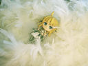 angeliclight.jpg